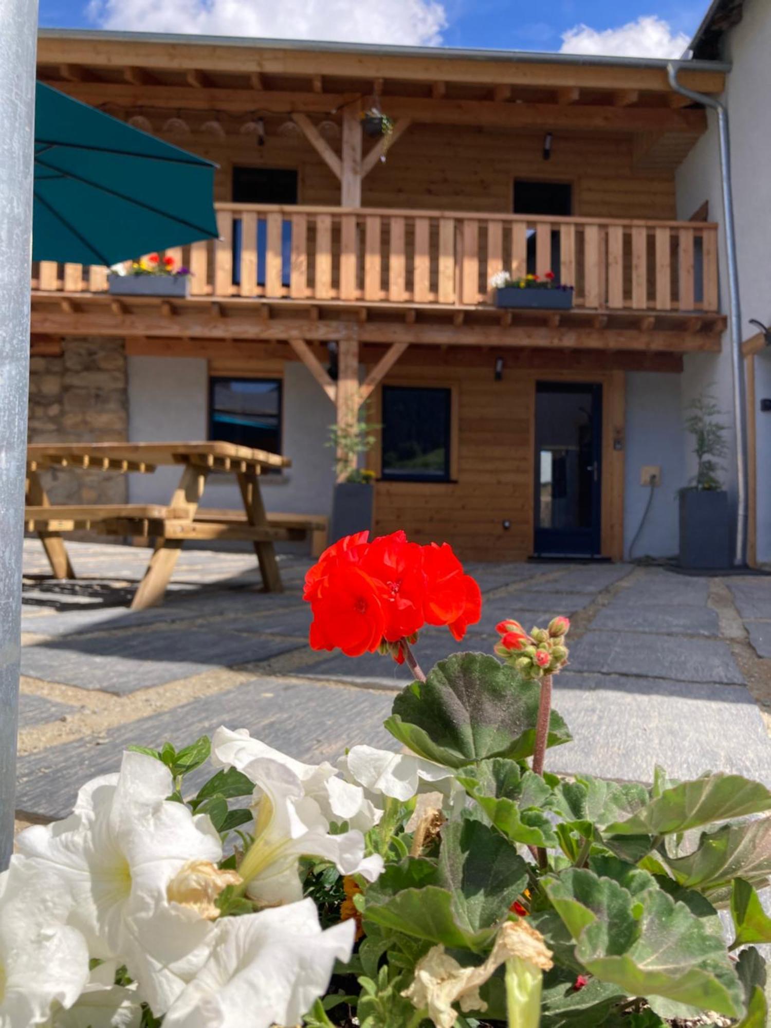 Studio Canellito Le Clos Des Ours Matemale Luaran gambar