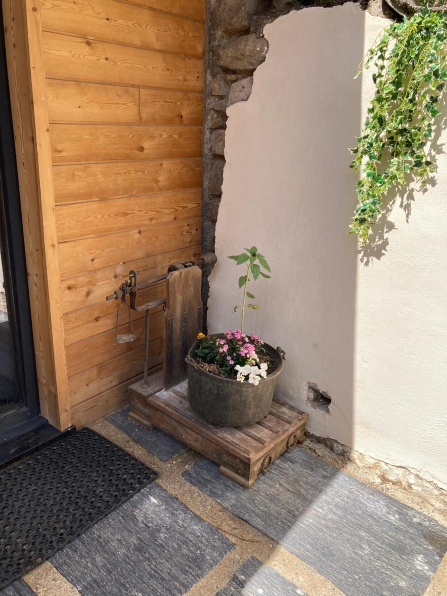Studio Canellito Le Clos Des Ours Matemale Luaran gambar